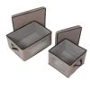 Gray 2-Pack Fabric Closet Storage Box With Lid, Clear-View Window & Removable Dividers